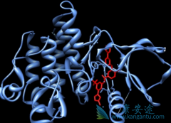 (ICLUSIG)ϸֲCML߸ѡĸ