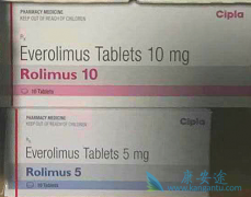 ойߴάĪ˾(Everolimus)л