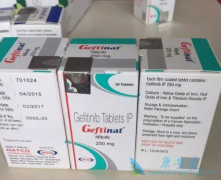 (Gefinat)ڼΰ˳ʲô