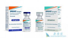 PD-1CTLA-4ư֢תƻߵЧô