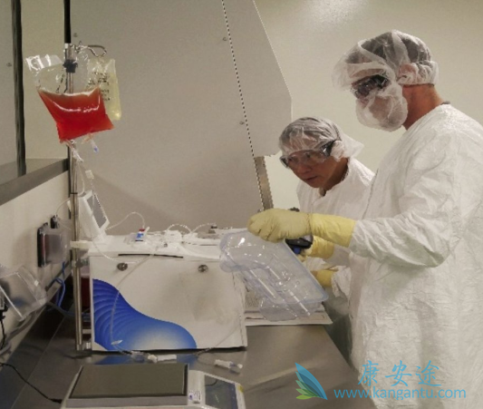 CAR-Tϸ���Ʒ�