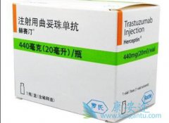 ڹ鵥(trastuzumab)඾ԵĿԽ