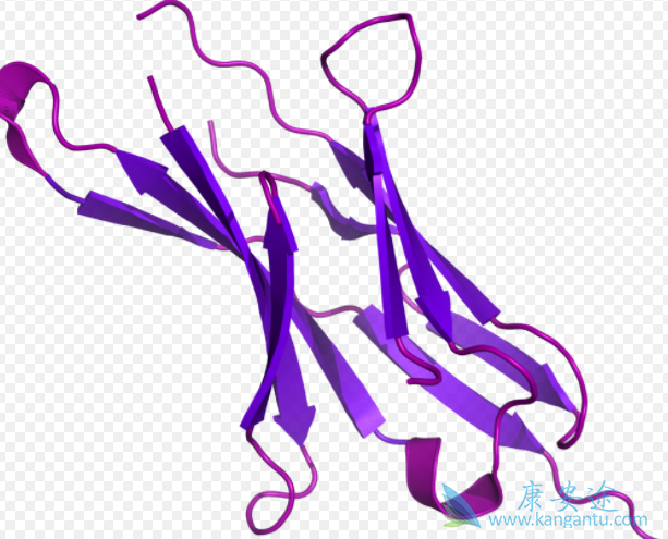 PD-1Ƽ