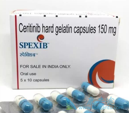 ɫ������