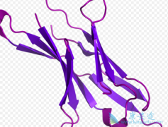 PD-1ĲΪEGFRԷΰߵѡ