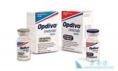 �������ȵ���ע��Һ(Nivolumab)��ָ���Ƽ������ڷΰ����ߵĶ�����ҩ