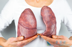 ����ҩ�ﲼ������(brigetin)����Ч��Σ�