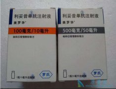 ����������/���޻�����������������Ѫ��ƶѪЧ����Σ�