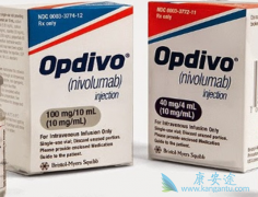 Atezolizumab�����䵥����������·��Ƥ������ʲô��ͬ��