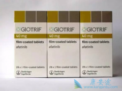 ��������(AFATINIB)�������ҩ���ܼ���ʹ����