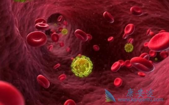 ����ŵ��