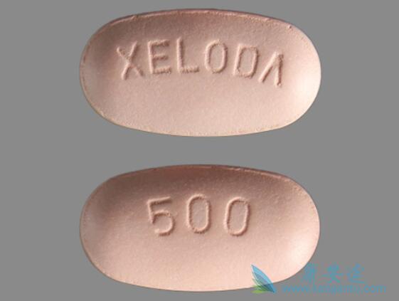 ��������Ƭ