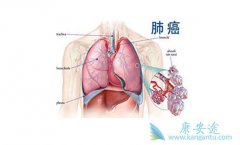 ���׵��·ΰ�����������ͨ������Щ��