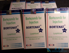 ������������/�������������и�Σ�߼���������ֲ�����