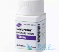 ALK�ΰ���������ӭ����һ��ALK���Ƽ���������(Lorlatinib)