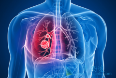 �������������ư���������ҩ�ķΰ�������