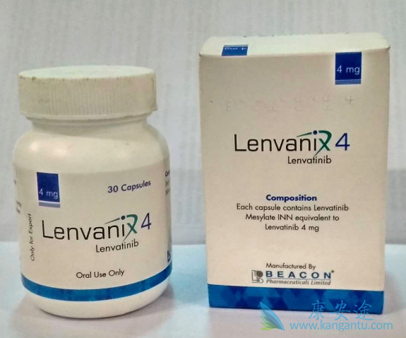 �ַ�����