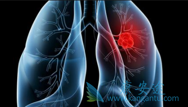 ��Сϸ���ΰ�