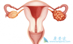 ��̹/��������Բ���ҩ�ĸ������ѳ�������Ч����ô����