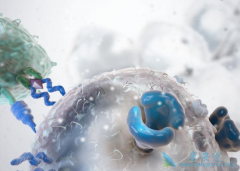 ������ֲ�ǹ���CAR-T�Ʒ��󻺽�ĺ÷���