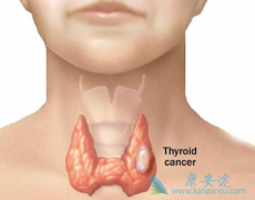 ��������/��̹�Լ�״�ٰ����ߵ���Ч�Ͱ�ȫ����ô����