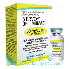 ��ƥľ����