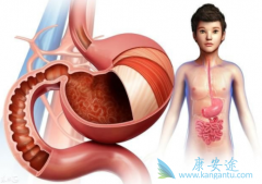 �׻�������������ʹ50%��θ�������������������޽�չ