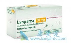 ��������(Olaparib)�����ѳ��������ƾ���ʲô���ƣ�