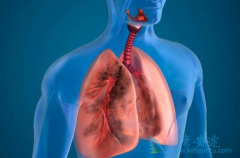 ����ҩ���������Էΰ���ת�ƻ��ߵ���Ч�ʴ�40%~41.9%