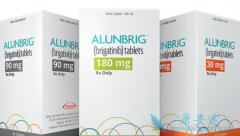 ��������/������������ЧԶʤ����������