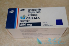 ��������(Xalkori)��ROS1���ŷΰ������еĻ���ʱ��ǳ��־�