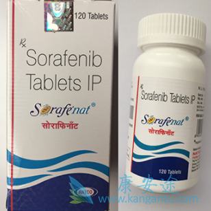 ��������Ƭ