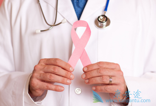 ���ٰ��ڷ�������