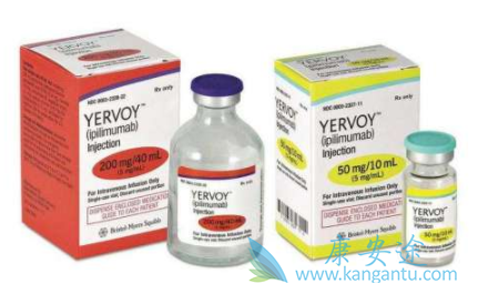 ��ƥľ����