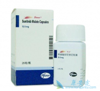 ӡ��¬��˹�����ķ��ư���������/��̹��ҩƷ�������б�����