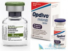 ���䵥��(nivolumab)�ɸ��Ƽ������ƹ������ڷΰ�����������