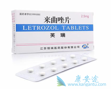 ������Ƭ