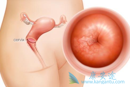 �������ܻ���