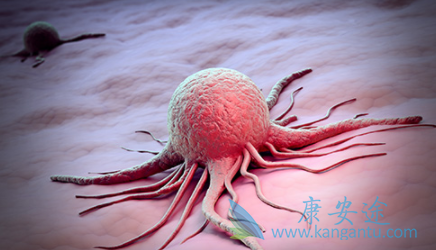 ����֯����