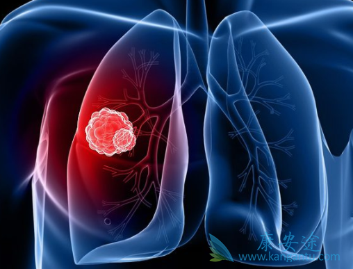 ��ɼ�����Ʒΰ�