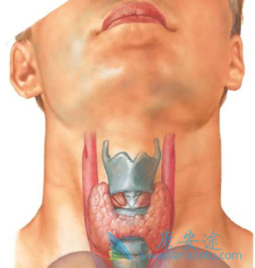 ��״������