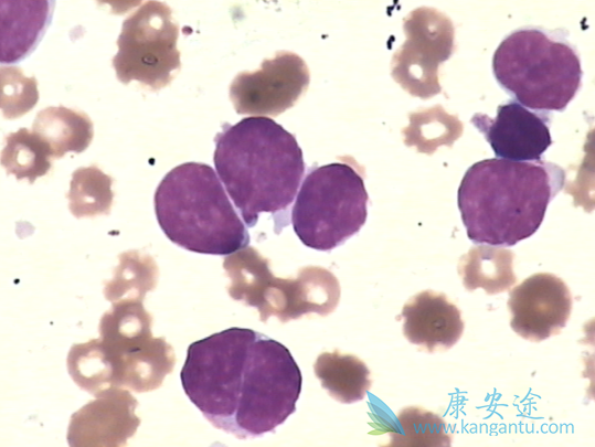 ��ϸ���ܰ���