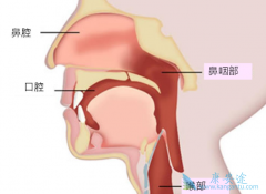 ���ʰ����Ʋ���ʱ������ЩΣ�����ճ����Ԥ����֢��