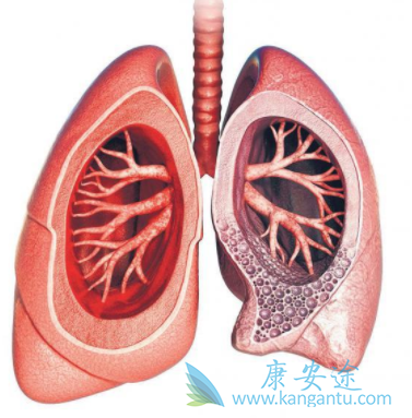 �ط��Է���ά��