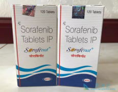 ӡ��ҩ�����ƵĶ༪��/����������ڻ��߿��Է��ķ�����