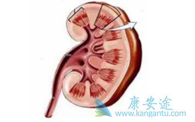 �����������ܻ���