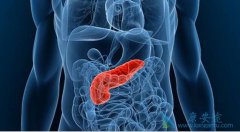 ��ע���ǻ������Ļ��������ٰ��Ļ�������