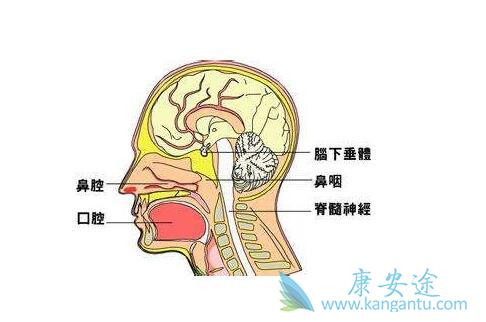 ���ʰ�����