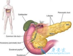 ���ٰ����Ƶĳ��淽������Щ����Ч��Σ�