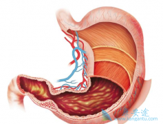 ��ɼ���Ͷ�����ɼ��������Ϊ��չ��θ�����ߵ�һ����ҩ